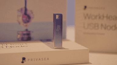 Privasea Node