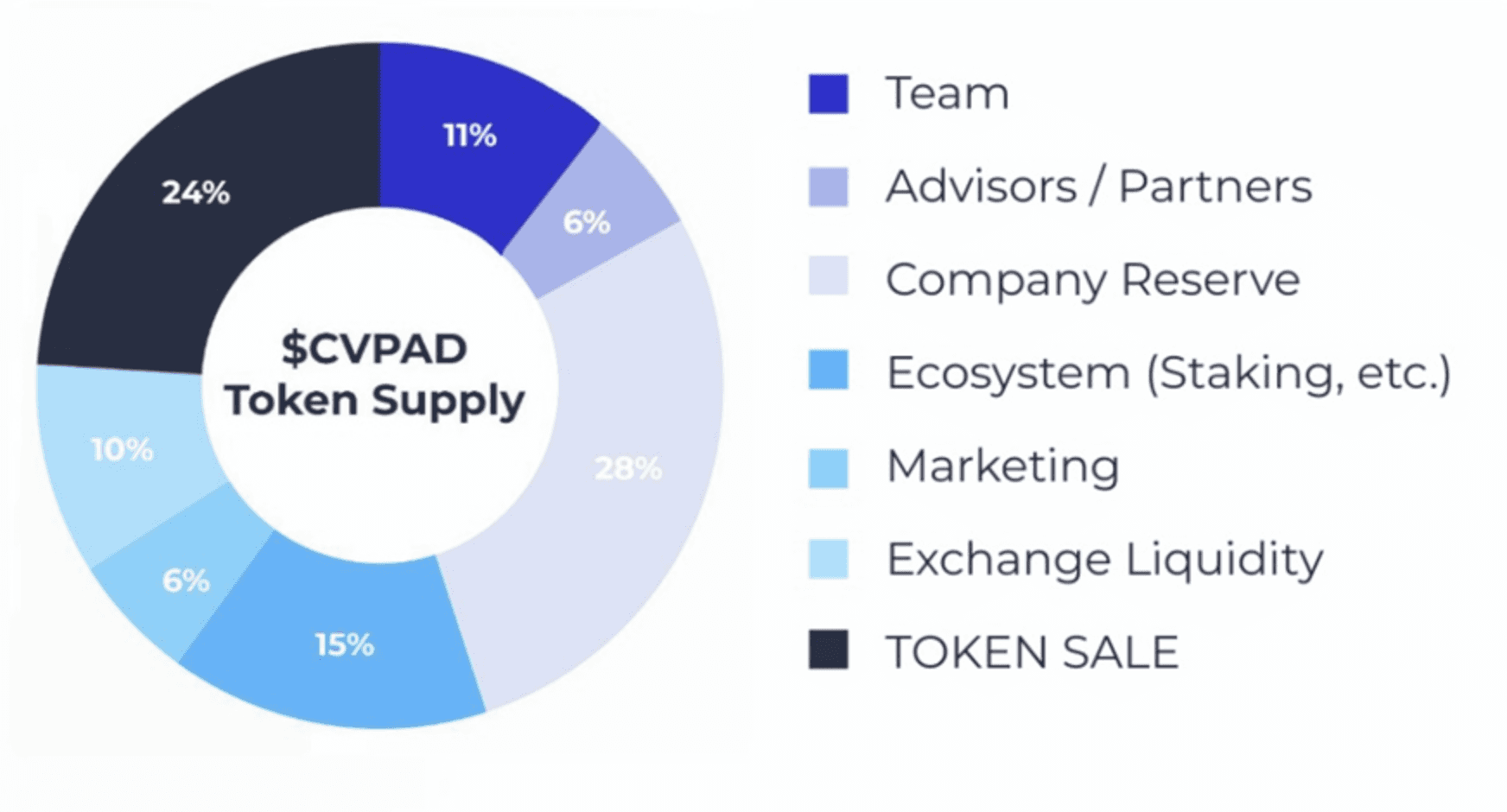 Token Distribution & Allocation